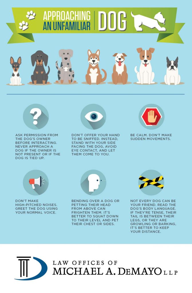 How to Properly Approach a Dog [INFOGRAPHIC] - DeMayo Law Offices