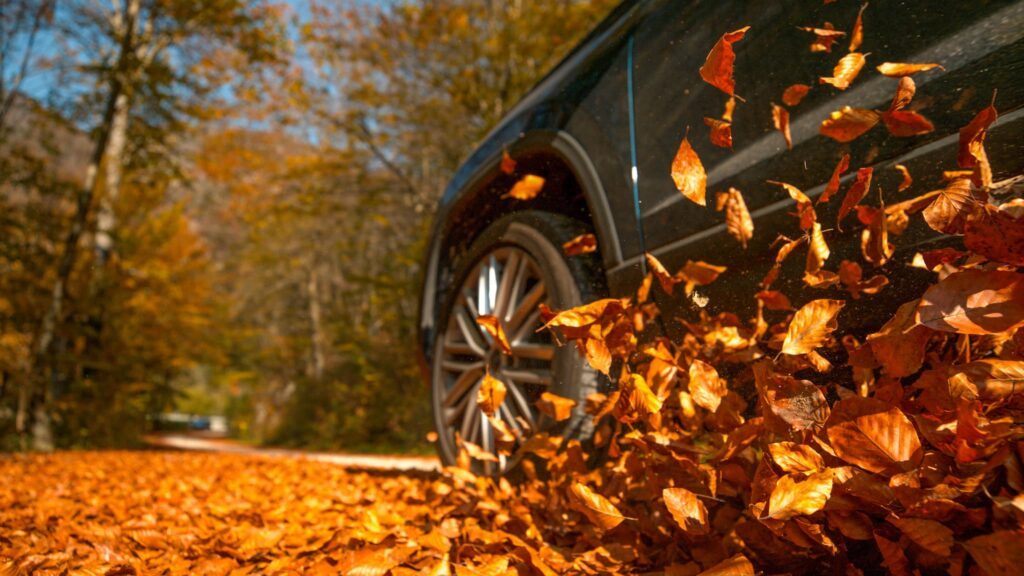 Cómo prevenir accidentes de coche en otoño