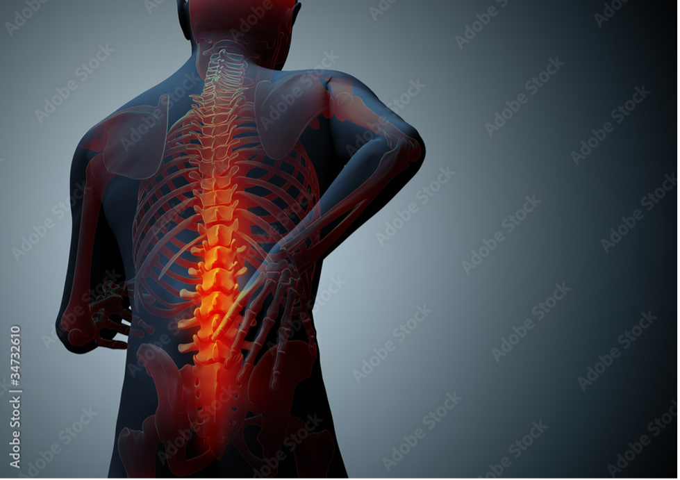 spinal-image.png